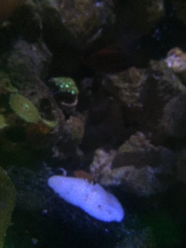 IMG_0648.jpeg IMG_0648.jpeg