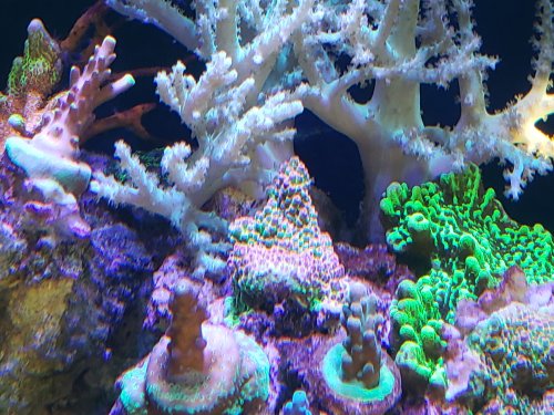 20191026_102418.jpg
