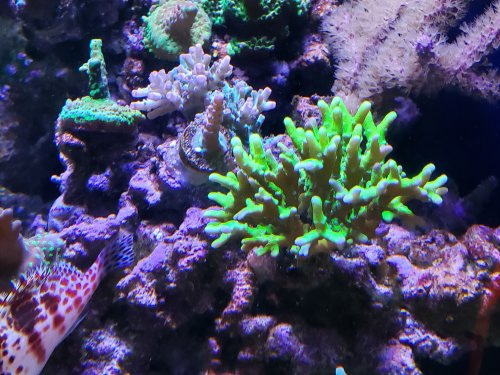 20191014_155607.jpg