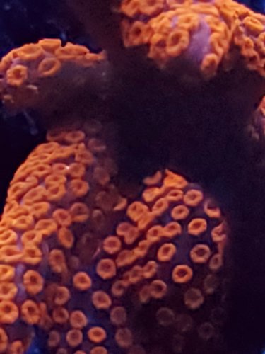 20191202_164752.jpg
