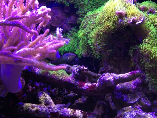 IMG_3811.jpg IMG_3811.jpg