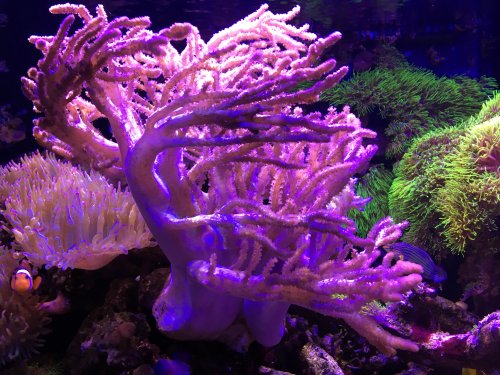 IMG_3805.jpg IMG_3805.jpg
