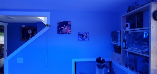 20200618_172105.jpg