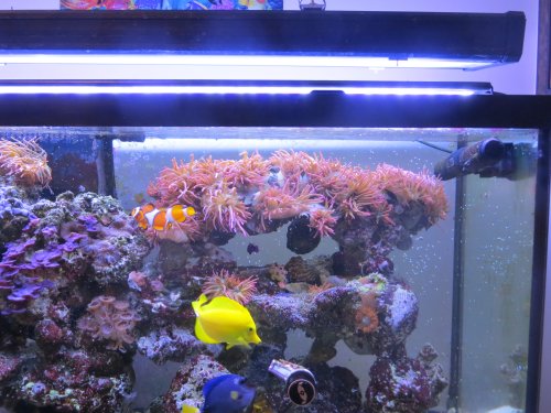 IMG_1510.JPG IMG_1510.JPG