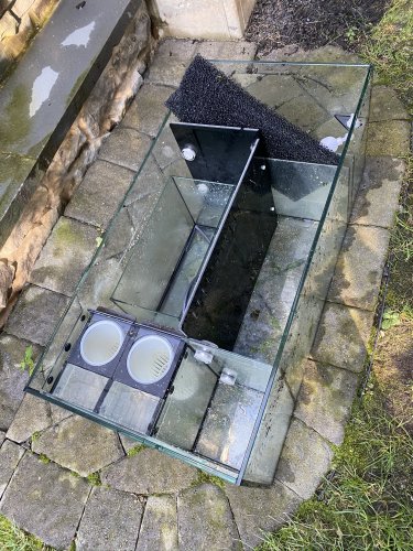 Sump with ATO.JPEG Sump with ATO.JPEG