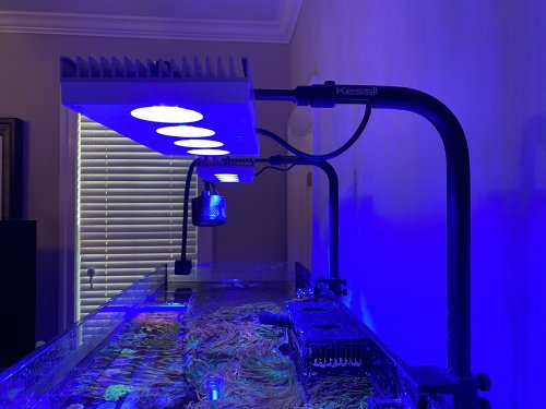 AI Hydra 64s with Kessil arms.jpeg AI Hydra 64s with Kessil arms.jpeg