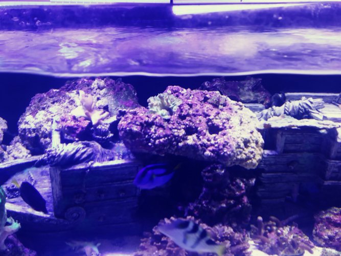 20201015_142322_Film1.jpg