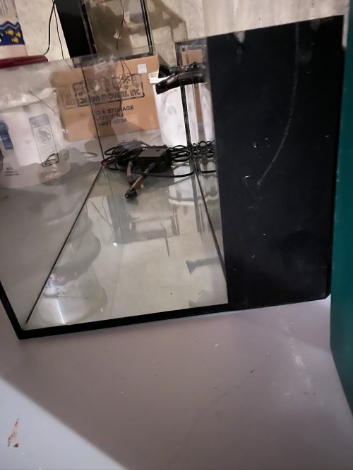 C-Vue 40 gallon (side).jpeg C-Vue 40 gallon (side).jpeg