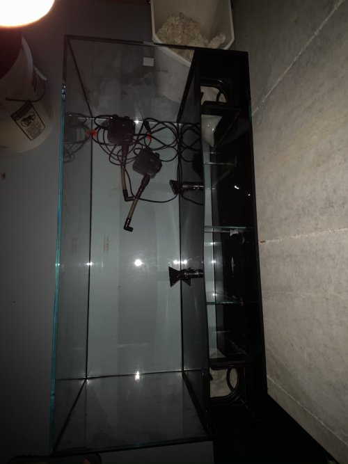 C-Vue 40 gallon (top).jpeg C-Vue 40 gallon (top).jpeg