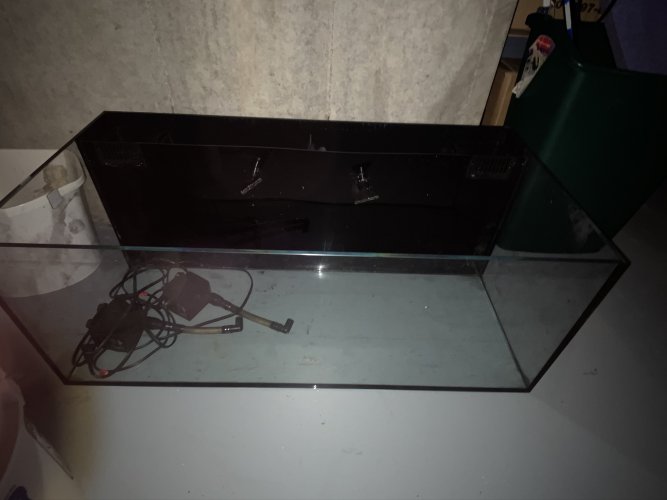 C-Vue 40 gallon (above).jpeg C-Vue 40 gallon (above).jpeg