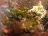ImageUploadedByTapatalk1361237507.306396.jpg ImageUploadedByTapatalk1361237507.306396.jpg