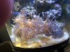 20130309_154045.jpg