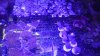 2013-04-19 20.46.55.jpg