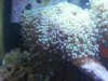 20130421_141502.jpg 20130421_141502.jpg