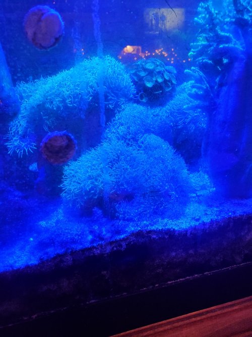 20201209_075903.jpg