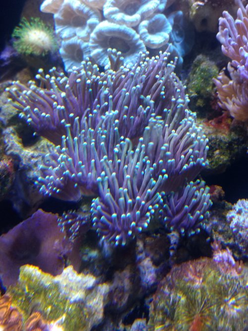 IMG_20201209_145225087.jpg