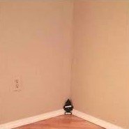 Got The Christmas Tree Up.jpg