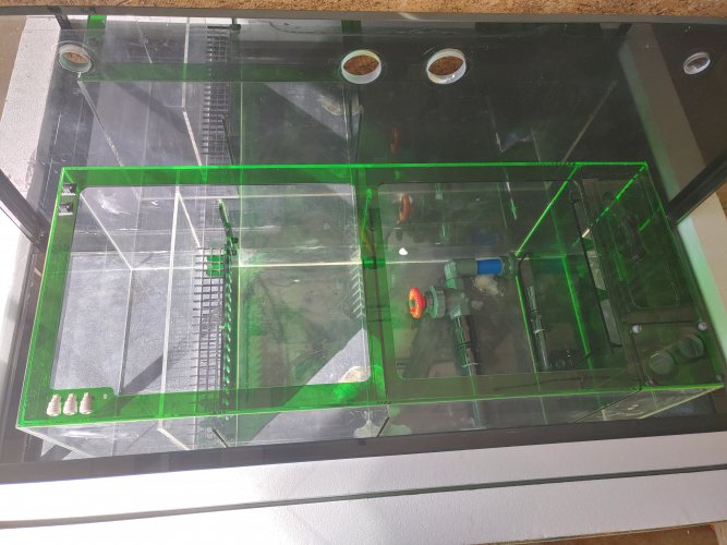 20201213_113734_HDR.jpg