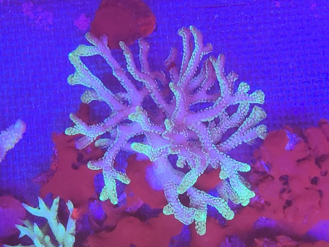 20201217_173136.jpg