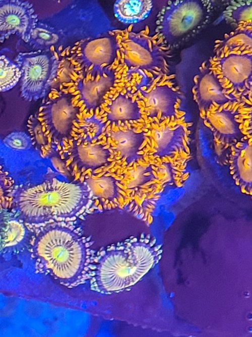 20201217_172849.jpg