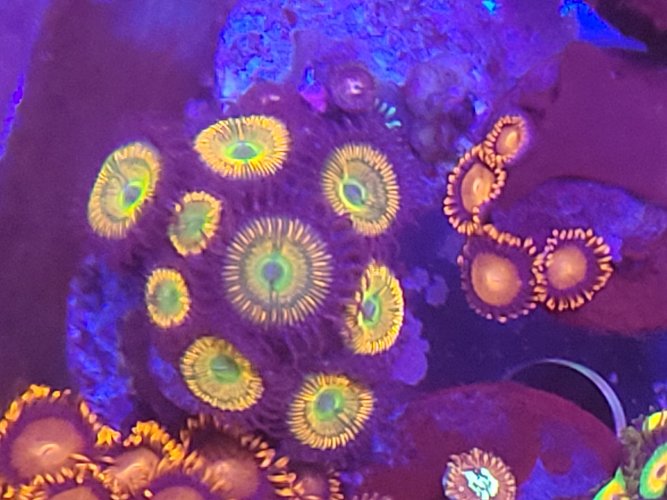 20201217_172933.jpg