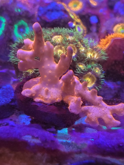 20201220_111648.jpg