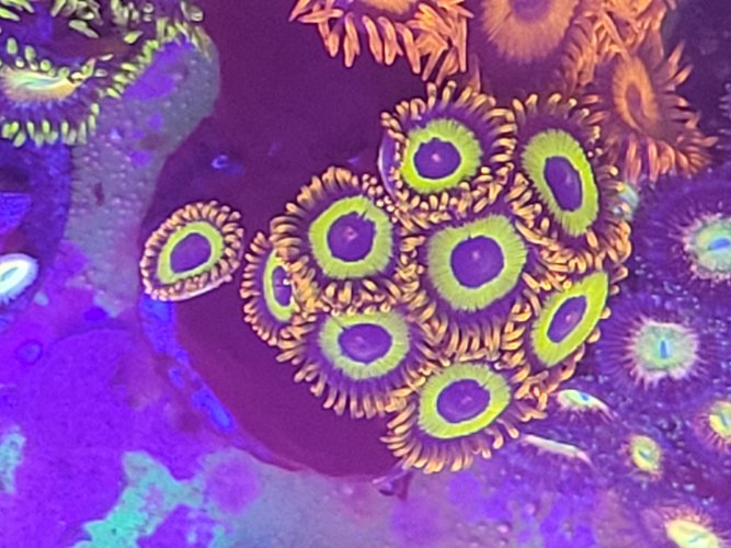 20201220_111459.jpg
