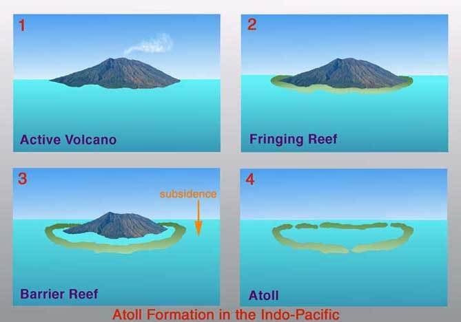 formation-of-Coral-Reef-formation-of-lakshadweep-island.jpg