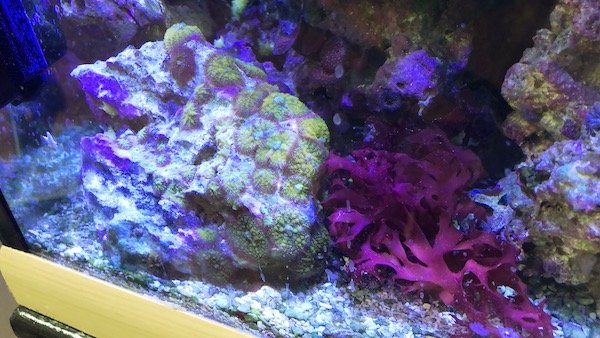 IMG_2429.jpeg IMG_2429.jpeg