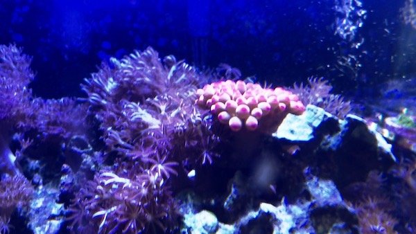 IMG_2430.jpeg IMG_2430.jpeg