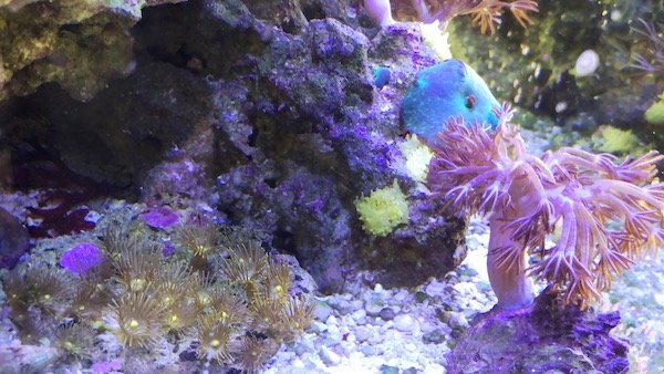 IMG_2432.jpeg IMG_2432.jpeg