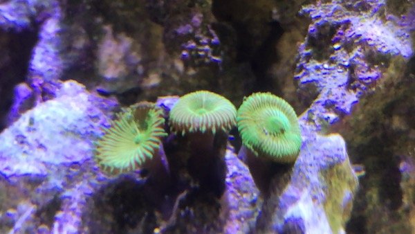 IMG_2436.jpeg IMG_2436.jpeg