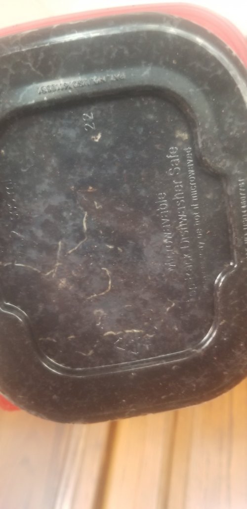 20201230_130404.jpg