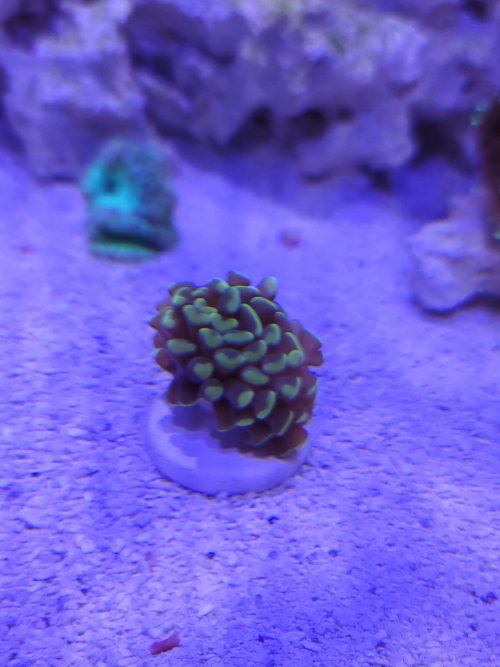 20201231_183821.jpg