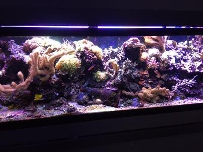 FTS Feb.jpg