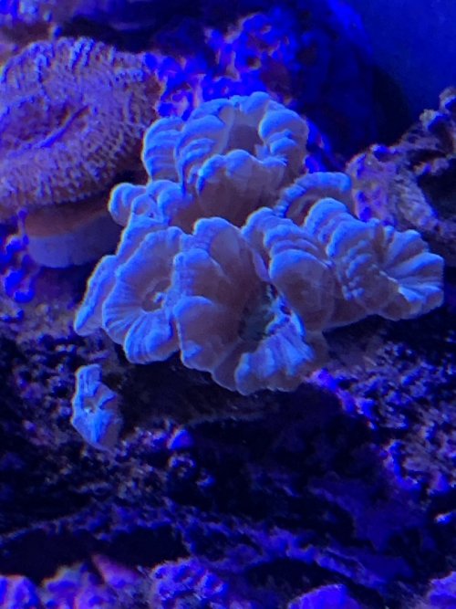 1B0B941B-53BC-4CAA-8801-741F33855366.jpeg