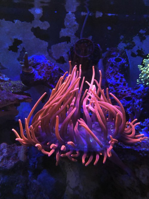 3C04AF45-E7A0-4335-ABA2-5F2F05139D27.jpeg 3C04AF45-E7A0-4335-ABA2-5F2F05139D27.jpeg