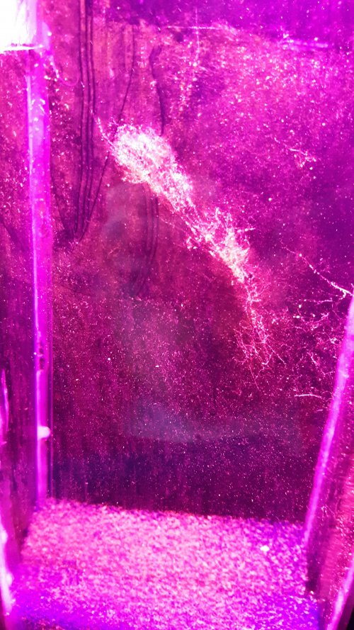 20210426_180727.jpg