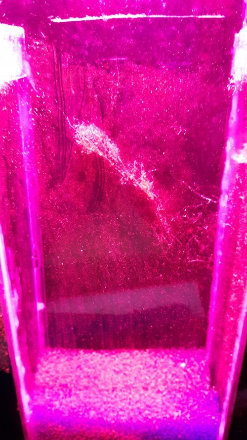 20210426_180519.jpg