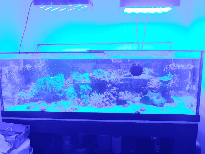 20210503_194344.jpg