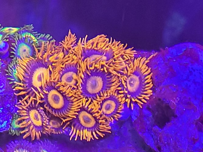 20210713_171406.jpg