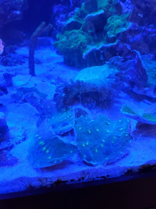 20211106_130713.jpg