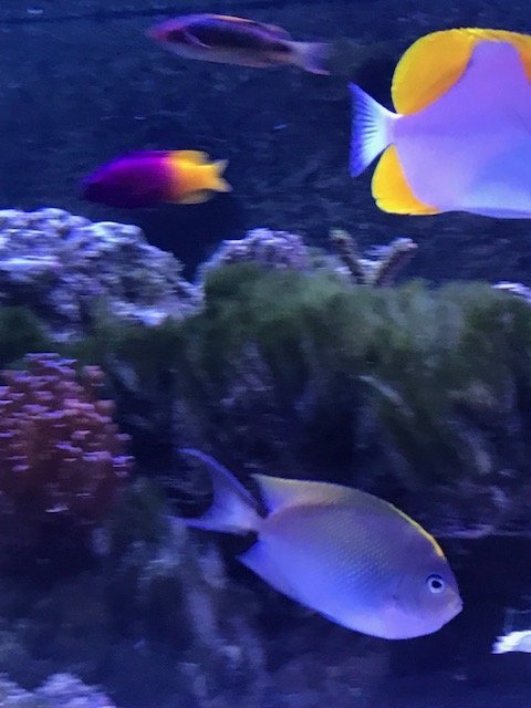 IMG_2177.jpg IMG_2177.jpg