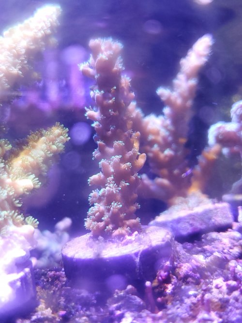 20220129_154808.jpg