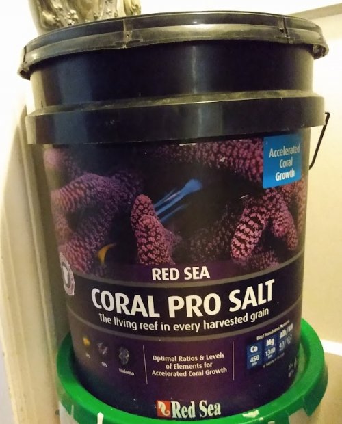 Coral Pro Salt.jpg