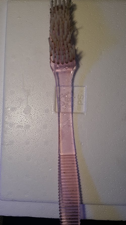 brush.jpg