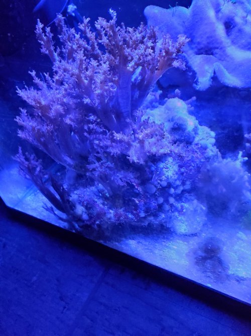 20220213_115755.jpg