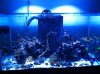 57 g with spiralis 2012-03-02 18.09.00.jpg