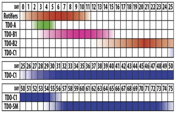 Clown Schedule Feeding.JPG