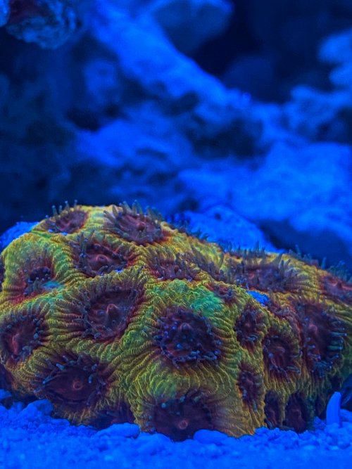8B5B6172-345E-48E1-84EF-8FD71BF5519F.jpeg